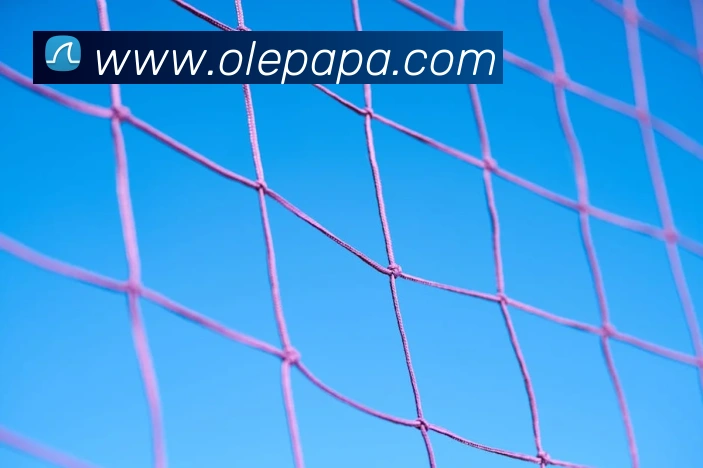 pa真人视讯平台生态图