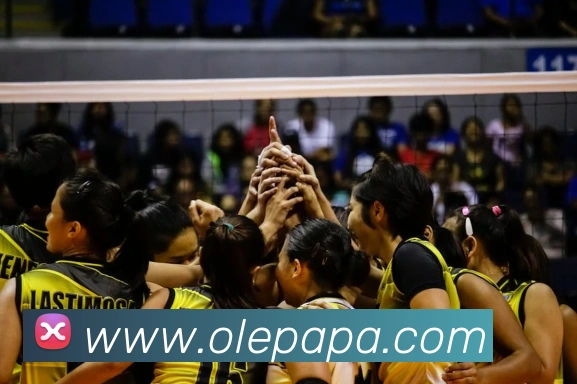 pa真人视讯全站App